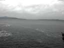 ./images/koeye/fitz-hugh/20151212/fitz-hugh20151212_120002.jpg