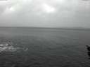 ./images/koeye/fitz-hugh/20151212/fitz-hugh20151212_121502.jpg