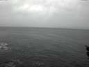 ./images/koeye/fitz-hugh/20151212/fitz-hugh20151212_121801.jpg