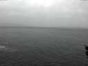 ./images/koeye/fitz-hugh/20151212/fitz-hugh20151212_122702.jpg