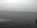 ./images/koeye/fitz-hugh/20151212/fitz-hugh20151212_140002.jpg