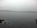 ./images/koeye/fitz-hugh/20151212/fitz-hugh20151212_160002.jpg