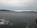 ./images/koeye/fitz-hugh/20151214/fitz-hugh20151214_160002.jpg