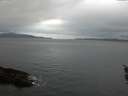 ./images/koeye/fitz-hugh/20151217/fitz-hugh20151217_100002.jpg