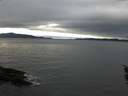 ./images/koeye/fitz-hugh/20151217/fitz-hugh20151217_122402.jpg