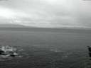 ./images/koeye/fitz-hugh/20151218/fitz-hugh20151218_080003.jpg