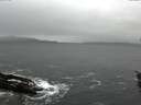 ./images/koeye/fitz-hugh/20151219/fitz-hugh20151219_120002.jpg