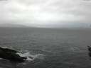 ./images/koeye/fitz-hugh/20151219/fitz-hugh20151219_121502.jpg