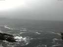 ./images/koeye/fitz-hugh/20151220/fitz-hugh20151220_122102.jpg