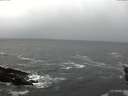 ./images/koeye/fitz-hugh/20151220/fitz-hugh20151220_122702.jpg