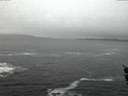 ./images/koeye/fitz-hugh/20151221/fitz-hugh20151221_080003.jpg