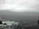 ./images/koeye/fitz-hugh/20151221/fitz-hugh20151221_122402.jpg