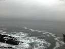 ./images/koeye/fitz-hugh/20151221/fitz-hugh20151221_140002.jpg