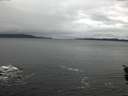 ./images/koeye/fitz-hugh/20151222/fitz-hugh20151222_120002.jpg