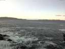 ./images/koeye/fitz-hugh/20151224/fitz-hugh20151224_080002.jpg