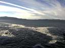 ./images/koeye/fitz-hugh/20151224/fitz-hugh20151224_121801.jpg