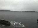 ./images/koeye/fitz-hugh/20151226/fitz-hugh20151226_080003.jpg