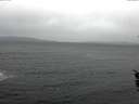 ./images/koeye/fitz-hugh/20151226/fitz-hugh20151226_121802.jpg