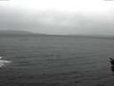 ./images/koeye/fitz-hugh/20151226/fitz-hugh20151226_122402.jpg