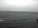./images/koeye/fitz-hugh/20151226/fitz-hugh20151226_140002.jpg