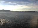 ./images/koeye/fitz-hugh/20151229/fitz-hugh20151229_140003.jpg
