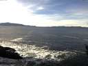 ./images/koeye/fitz-hugh/20160101/fitz-hugh20160101_121503.jpg
