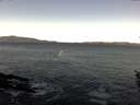 ./images/koeye/fitz-hugh/20160102/fitz-hugh20160102_102703.jpg