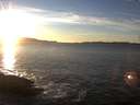 ./images/koeye/fitz-hugh/20160104/fitz-hugh20160104_155706.jpg