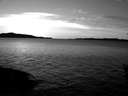 ./images/koeye/fitz-hugh/20160104/fitz-hugh20160104_162703.jpg