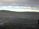 ./images/koeye/fitz-hugh/20160105/fitz-hugh20160105_095707.jpg