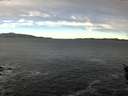 ./images/koeye/fitz-hugh/20160105/fitz-hugh20160105_100003.jpg