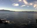 ./images/koeye/fitz-hugh/20160105/fitz-hugh20160105_121207.jpg