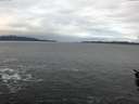 ./images/koeye/fitz-hugh/20160106/fitz-hugh20160106_092706.jpg