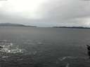 ./images/koeye/fitz-hugh/20160106/fitz-hugh20160106_095706.jpg