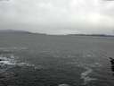 ./images/koeye/fitz-hugh/20160106/fitz-hugh20160106_102706.jpg