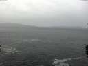 ./images/koeye/fitz-hugh/20160106/fitz-hugh20160106_105706.jpg