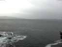 ./images/koeye/fitz-hugh/20160106/fitz-hugh20160106_112707.jpg
