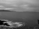 ./images/koeye/fitz-hugh/20160106/fitz-hugh20160106_142703.jpg
