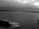 ./images/koeye/fitz-hugh/20160106/fitz-hugh20160106_152703.jpg