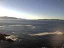 ./images/koeye/fitz-hugh/20160107/fitz-hugh20160107_135702.jpg