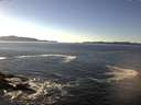 ./images/koeye/fitz-hugh/20160107/fitz-hugh20160107_140002.jpg