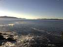 ./images/koeye/fitz-hugh/20160107/fitz-hugh20160107_142705.jpg
