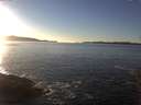 ./images/koeye/fitz-hugh/20160107/fitz-hugh20160107_152705.jpg