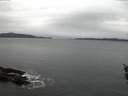 ./images/koeye/fitz-hugh/20160109/fitz-hugh20160109_080002.jpg