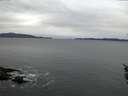 ./images/koeye/fitz-hugh/20160109/fitz-hugh20160109_082706.jpg