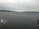 ./images/koeye/fitz-hugh/20160109/fitz-hugh20160109_102705.jpg