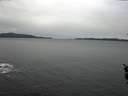 ./images/koeye/fitz-hugh/20160109/fitz-hugh20160109_105705.jpg