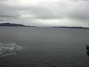 ./images/koeye/fitz-hugh/20160109/fitz-hugh20160109_112706.jpg