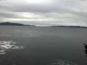 ./images/koeye/fitz-hugh/20160109/fitz-hugh20160109_121802.jpg