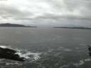 ./images/koeye/fitz-hugh/20160110/fitz-hugh20160110_075706.jpg